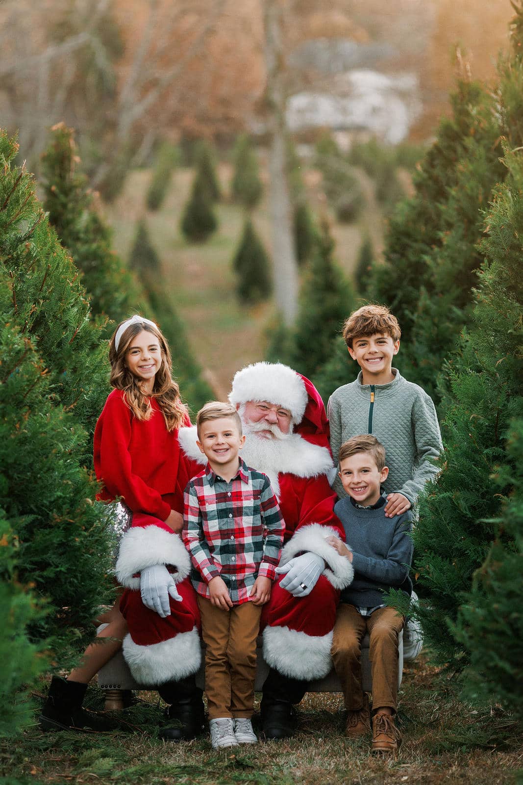 Santa and kids in tree farm