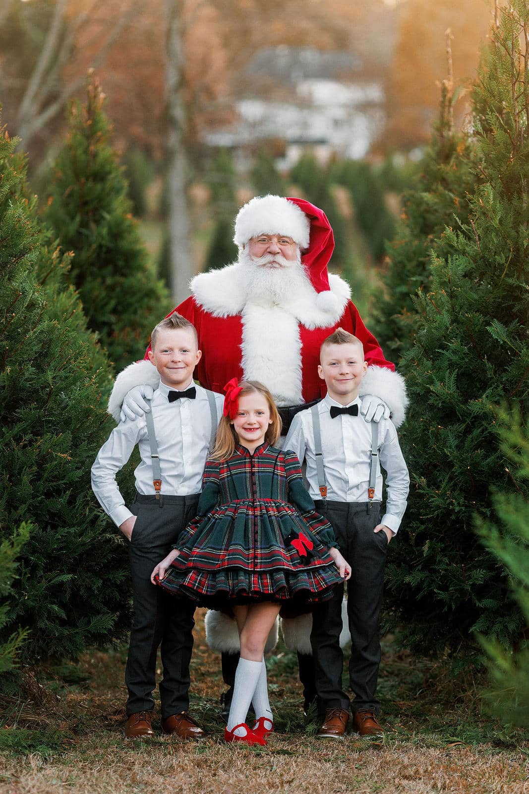 Santa and kids in tree farm